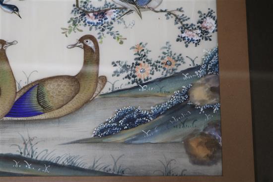 19th century Chinese School, pair of gouache on pith paper, studies of birds and flowers, 17 x 30cm